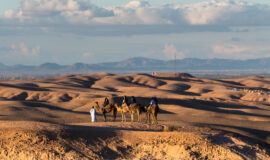 Marokko Rondreizen: Ontdek de Betoverende Woestijnavonturen